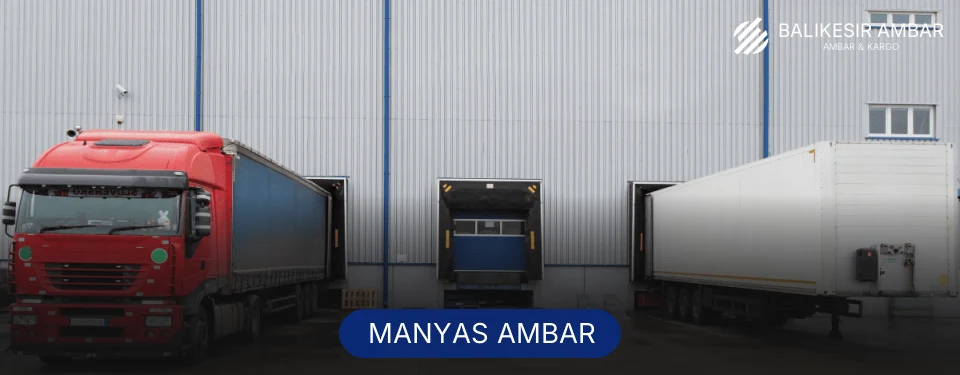 Manyas Ambar