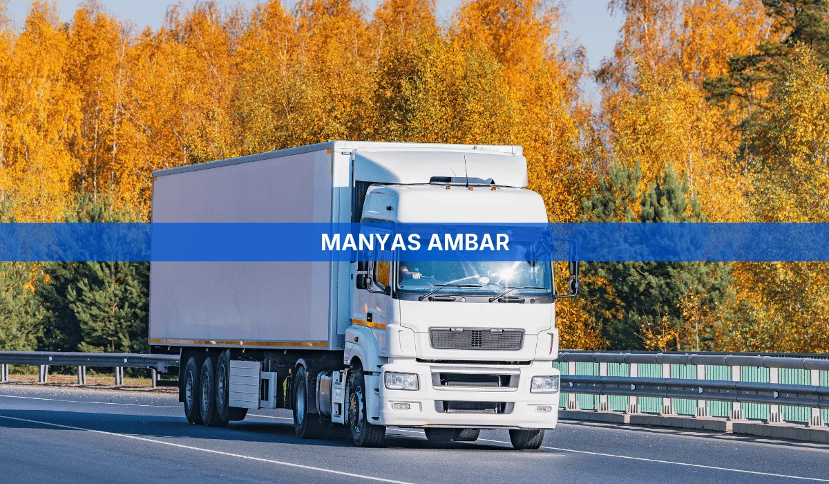 Manyas Ambar